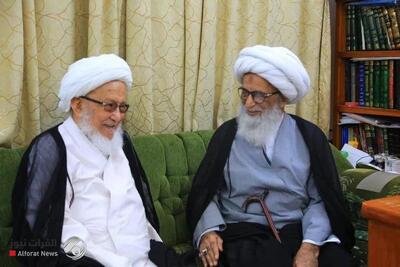  پیام تسلیت حضرت آیت الله بشیر نجفی در پی ارتحال حضرت آیت الله فیاض: امروز شیخ نجف اشرف و حامی حوزه از میان ما رفت