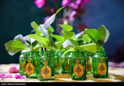  ببینید| شعرخوانی نوجوان 11 ساله در مهمانی 10 کیلومتری غدیر - تسنیم