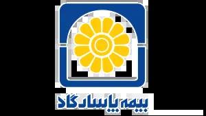 هنر بیمهگری در بیمه پاسارگاد؛ وقتی کیفیت، فاصلهها را بیشتر میکند