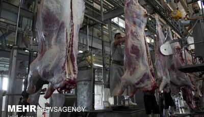 کشتارگاههای غیرمجاز در چالوس باید فوری تعطیل شوند