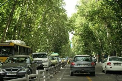 بهترین ایده برای مقابله با گرمای بیامان تهران پیدا شد