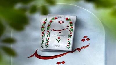  شهید تجاوز اخیر آمریکا در بردسکن تشییع شد
