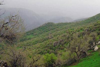 استقرار ۲۲۰ دیدهبان برای پیشگیری از آتشسوزی در عرصههای طبیعی کرمانشاه