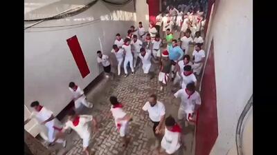 دوندگان زیر شاخ گاوها در پامپلونا