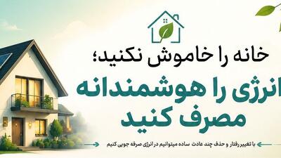  استاندار بوشهر بر مدیریت بهینه مصرف انرژی برای کاهش خاموشی‌ها تاکید کرد