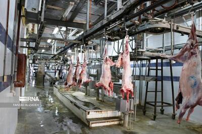 فرماندار چالوس: کشتارگاههای غیرمجاز غرب مازندران باید فوری تعطیل شوند