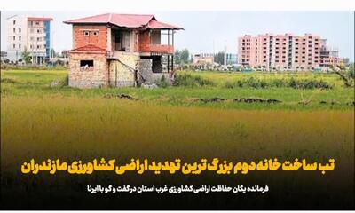 فیلم | تب تند ساخت خانه باغ در اراضی زراعی؛ تهدید بزرگ تولید و کشاورزی مازندران