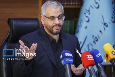 معاون وزیر کار: بیش از ۲.۴ میلیون مجوز مشاغل خانگی در حال صحتسنجی است