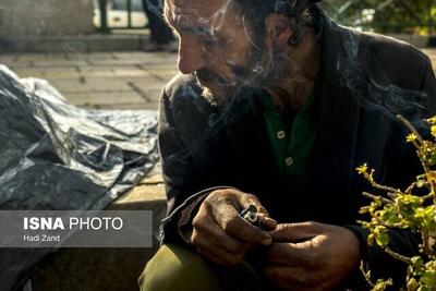 مقابله جدی با کشت خشخاش در خوزستان/ ترک فعل سه مدیر در نگهداری معتادان متجاهر