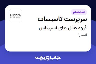  استخدام سرپرست تاسیسات - آقا در گروه هتل های اسپیناس