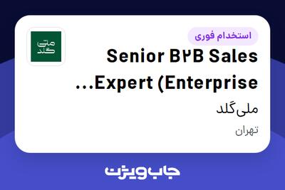  استخدام Senior B2B Sales Expert (Enterprise Sales) در ملی‌گلد