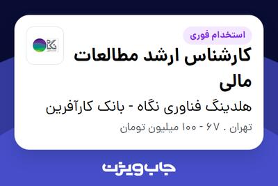 استخدام کارشناس ارشد مطالعات مالی - آقا در هلدینگ فناوری نگاه - بانک کارآفرین