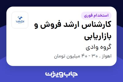  استخدام کارشناس ارشد فروش و بازاریابی در گروه وادی