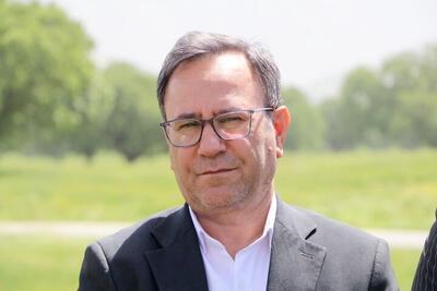 ۶ هزار تن کلزا در لرستان برداشت می شود