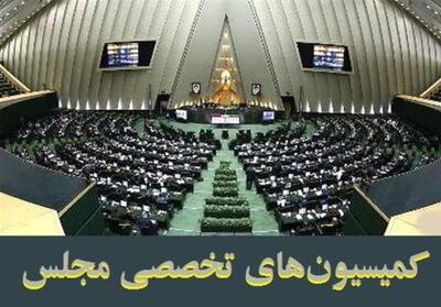  جزئیات انتخابات الکترونیکی کمیسیون‌ها؛ توضیحات عضو هیئت رئیسه - تسنیم
