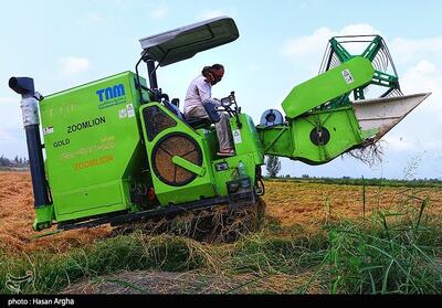  لزوم پایش مستمر و هماهنگی بین‌بخشی آران و بیدگل ویژه بخش کشاورزی - تسنیم