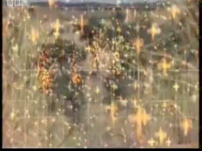 نحوه ردگیری شکار با استفاده از قوه بویایی سه بعدی کبرای زرد