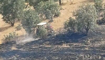  آتش‌سوزی ۱۰ خرمن گندم در اردل مهار شد
