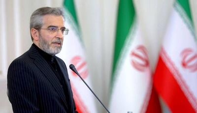  علی باقری: مطالبه مجازات عاملان ترور رهبر انقلاب حق ملت ایران است