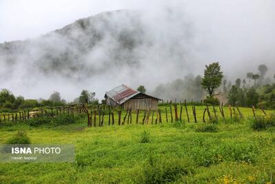  ییلاقات سوادکوه؛ پناهگاه خنک در اوج گرمای تابستان