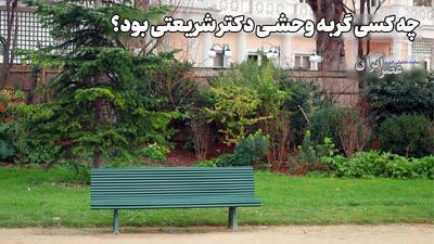  حسادت گربه وحشی دکتر شریعتی و راز دختر داخل باغ(+صدا)