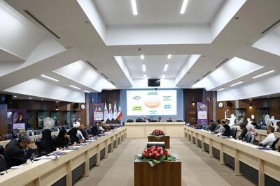  در نشست هم‌اندیشی طرح تحول بنیادین ورزش‌های پارالمپیکی مطرح شد: تأکید دبیر فدراسیون شطرنج بر حمایت از رشته‌های مدال‌آور