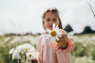 خواص بابونه برای کودکان، از درمان کولیک تا بهبود خواب + نحوه مصرف ایمن