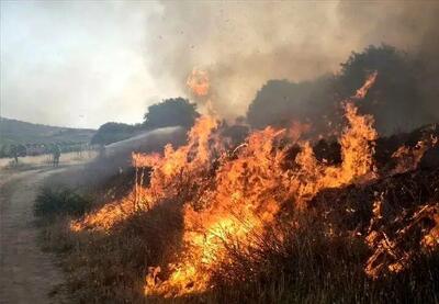  آتش‌سوزی در مراتع اردل؛ نابودی ۱۰ خرمن گندم و ۲۲ هکتار زمین