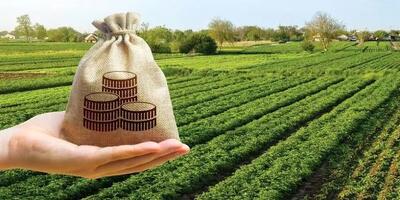  ناهمخوانی تکالیف با منابع مالی پیش‌بینی شده چالش بخش کشاورزی استان مرکزی