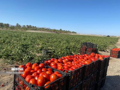 ناهمخوانی تکالیف قانونی با منابع مالی بودجه، مانع توسعه بخش کشاورزی استان مرکزی است