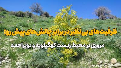 فیلم| ظرفیتهای بینظیر در برابر چالشهای پیش رو؛ روایت محیط زیست کهگیلویه و بویراحمد