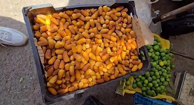  تصاویر تماشایی از بازار رطب نوبر میناب | جهان نیوز