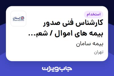 استخدام کارشناس فنی صدور بیمه های اموال / شعبه غرب تهران در بیمه سامان