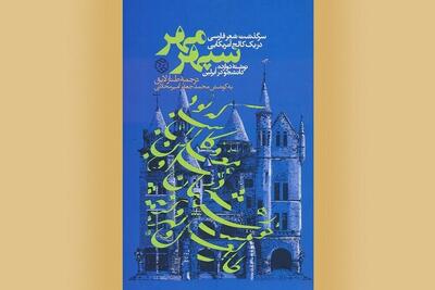  شعر فارسی در نگاه دیگران/ از جذابیت‌های فرهنگی تا روایت‌ فارسی‌آموزان