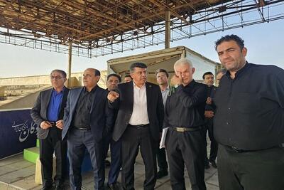 ناظری: مجموعه شهدا ظرفیت تبدیل شدن به قطب چوگان کشور را دارد
