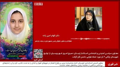 الهام امینزاده، حقوقدان و معاون سابق رئیسجمهور: ایران باید برای محاکمه آمریکا درخواست بدهد