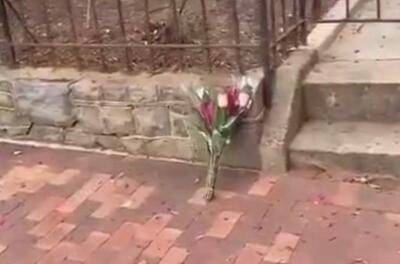 کنایه خبرنگار آمریکایی به وداع با سناتور جنگطلب فقط با یک گل!