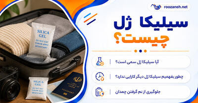 سیلیکا ژل چیست؟؛ کاربردهای خانگی برای جذب رطوبت و جلوگیری از کپک؛ نکات ایمنی استفاده