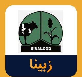 بررسی نموداری و تحلیلی سهم زبینا