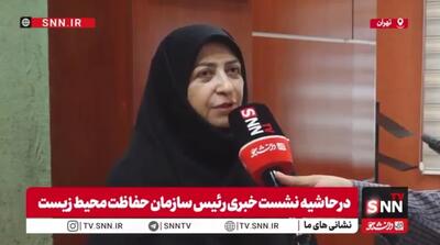  شینا انصاری: فرونشست یکی از مسائل جدی کشور است/ سازمان محیط زیست با جدیت پیگیر حقابه‌های محیط زیستی است