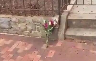 کنایه خبرنگار آمریکایی به وداع با سناتور جنگطلب فقط با یک گل!