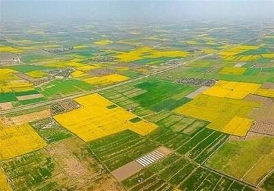  سندار شدن بیش از یک‌ 1155 هکتار از اراضی کشاورزی در آذربایجان غربی - تسنیم