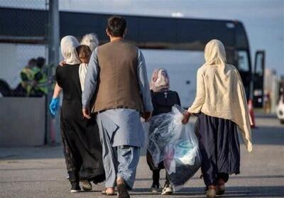  دستگیری 20 تبعه خارجی غیرمجاز در سمنان - تسنیم
