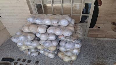  کشف ۷۰۰ کیلوگرم مواد مخدر در عملیات‌های ۴۸ ساعت گذشته تکاوران فراجا