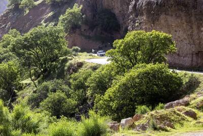 سفر به «مشایخ» مقصدی دهستانی بکر در چهارمحال و بختیاری