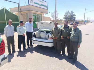  کشف و ضبط ۵۷ کیلوگرم گیاه دارویی در شهرستان طبس
