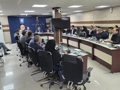 معاون استاندار خوزستان: پایش نانواییهای دوگانهسوز و بازنگری در تسهیلات بانکی این صنف در دستور کار است / لزوم تسریع در پرداخت مطالبه گندمکاران