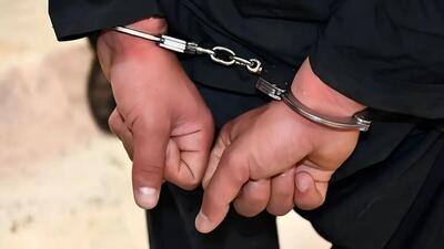  شکار بزرگ در پایتخت؛ دستگیری یک محقق جاسوس در تهران