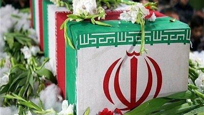  اعضای خانواده یک محیط بان هرمزگانی در حمله آمریکا به شهادت رسیدند