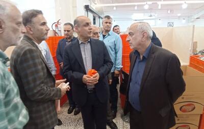  پیشرفت فیزیکی ۶۰ درصدی ۲۳۲ پروژه صنعتی گیلان